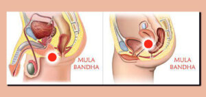 Yoga Mula Bandha UP Center